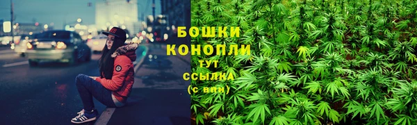 амф Няндома